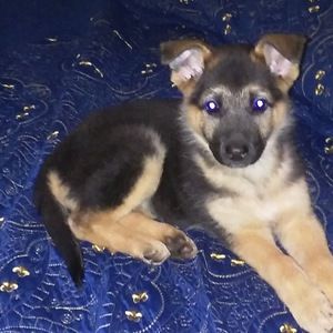 Meet your Posher, Nadia